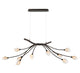 MODENA 12234-043, 10 Light Oval LED Chandelier